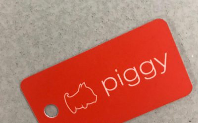 sparen met PIGGY